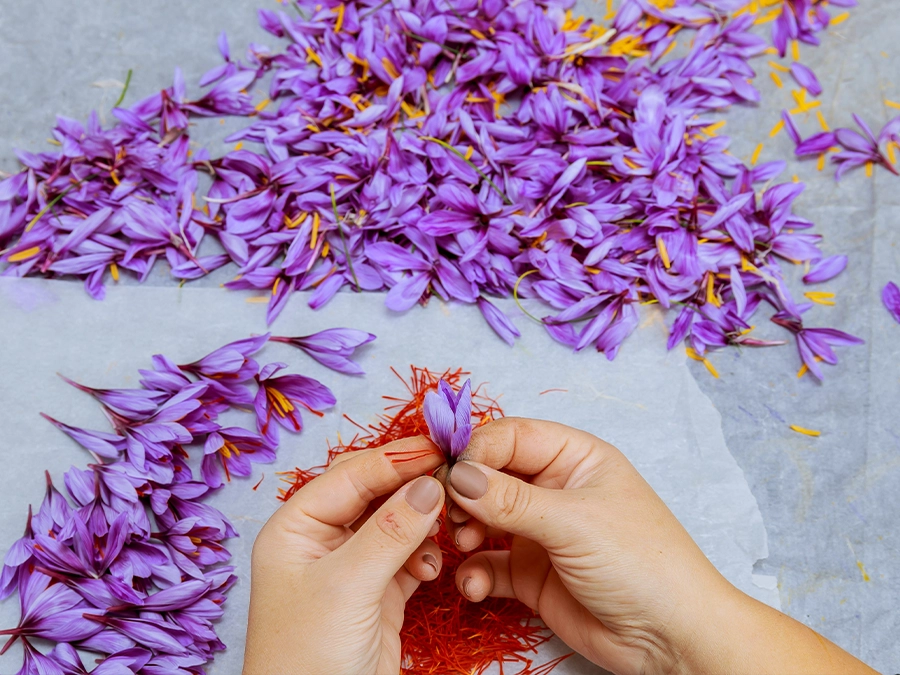 خرید زعفران اصل